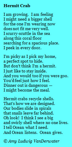 Hermit Crab - Mask Poems