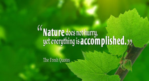 Beauty in Nature – Inspirational Nature Quotes