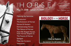 American Museum of Natural History - 