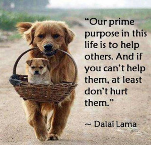 our prime purpose in this life is to help others