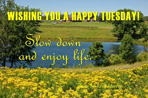 wishing you a Happy Tuesday ! Slow, down and enjoy life.