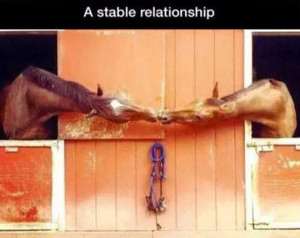Stable Relationship Pictures, Photos, and Images for Facebook ...