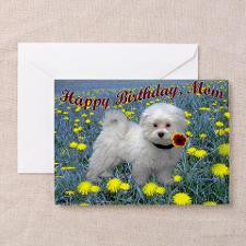 Bichon Frise Dandylion Puppy Greeting Card for