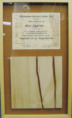 Karate certificate and broken board