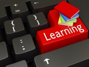 ... Computer Training Using Scenario-Based Learning and Interactivity