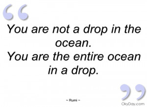 you are not a drop in the ocean rumi
