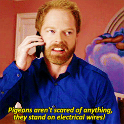 Modern Family Season 1 Cameron Tucker mitchell pritchett 1x24