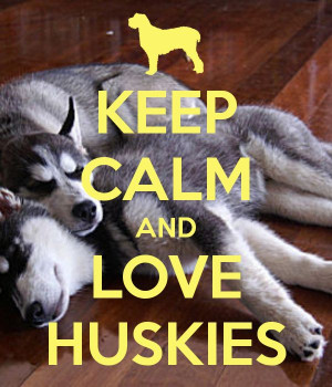 Keep calm and love huskies.