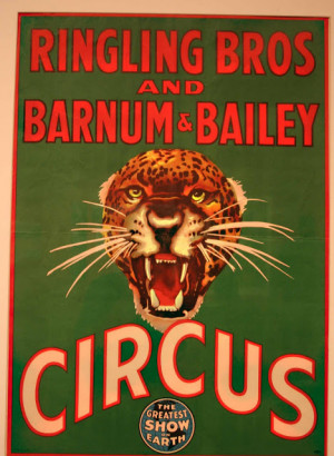 ... your hat into the ring” came from the Circus in 1916, when President