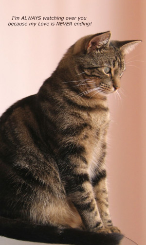 Inspirational Cards for Pet Loss by www.brentatwater.comFuzzy Kids ...