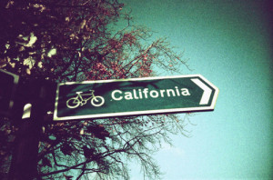 california, dream, life, love, paradise, quote, text, true