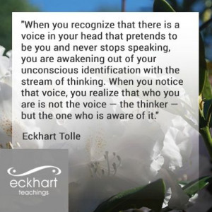 ... you recognize that there is a voice and an observer.....Eckhart Tolle