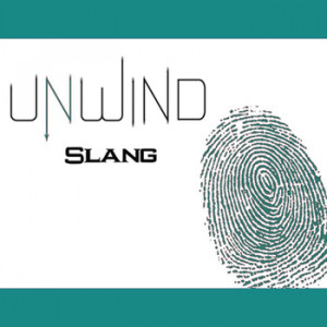 UNWIND 13 Slang Phrases - Body Parts (by Neal Shusterman)