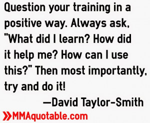 Read more from David at his martial arts blog .