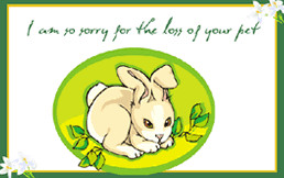 ... For The Loss of Your Pet Bunny Rabbit