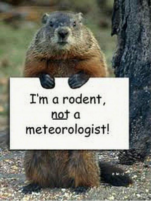 Los 20 mejores Memes de Groundhog Day | Cine PREMIERE