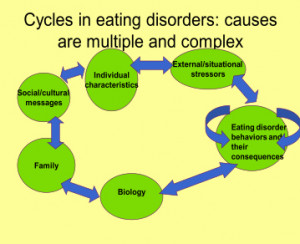 Causes of Eating Disorders