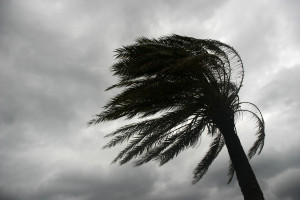 Hurricane Preparedness With Dominica Yellow Pages