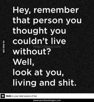 Live laugh love quotes