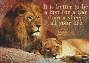 Lion Sheep Life For more quotes visit www.searchquotes.comBig Cat ...