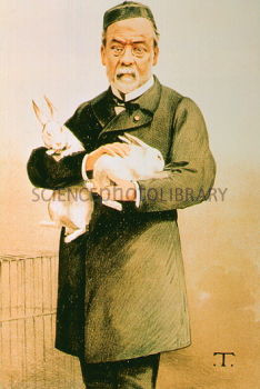 Louis Pasteur Download