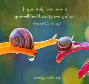 ... truly love Nature, you will find beauty everywhere. ~ Vincent van Gogh