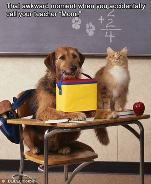 funny awkward situations when awkward situations illustrated with ...