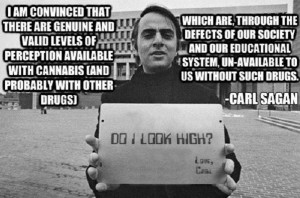 Society Without Cannabis Lacks Unfiltered Levels of Perception ...