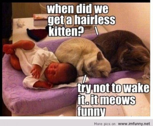 Funny meow cats and baby / Funny Pictures, Funny Quotes – Photos ...
