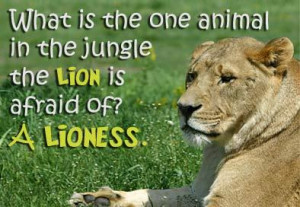 in the jungle that a lion is afraid of?' The class answers: a lioness ...