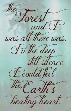 Pinned by Susie Gill