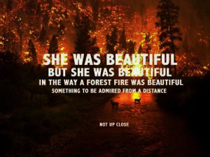 She was beautiful, but she was beautiful in the way a forest fire was ...