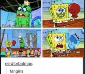 funny fangirl quotes