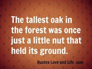 nature #poetry #oak tree