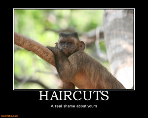 Humorous Motivational Posters Quotes