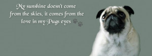 For Your Timeline. Pug QuotesFunny Pets, Animal Lovers, Pugs Eye ...