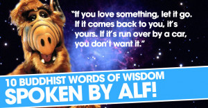 alf-words.jpg