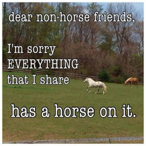 Dear non horse friend. This is so true. Some times i stop pinning ...