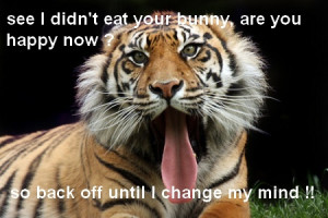 Funny Tiger Image Pics