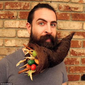 Horn of plenty: For Thanksgiving Webb fashioned his beard into ...