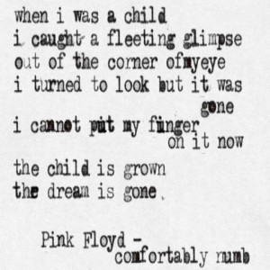 Comfortably+Numb+Quotes | Comfortably Numb - Tapiture