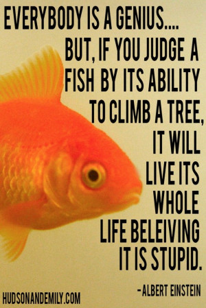 inspirational quote and blog post about pursuing your dreams