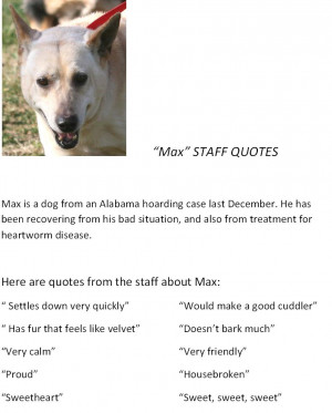 Posted in Featured Pets | Comments Off