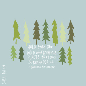 114-BARBARA-KINGSOLVER-WILD-PLACES