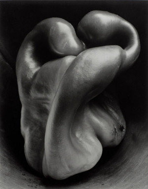 ... selection of my favorite quotes by photographer Edward Weston