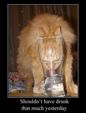 funny-cat-drinking-from-a-glass-hangover-quote