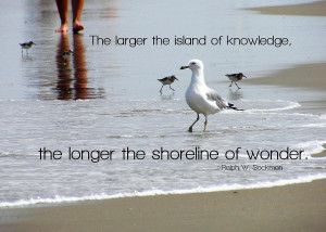 Beach Therapy Quote Photograph...