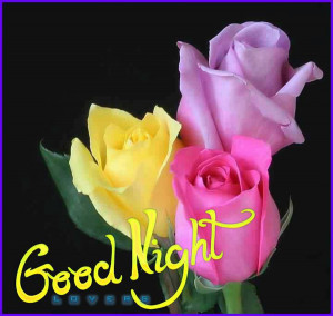 Good Night Colorful Roses Graphic