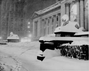 New York Public Library Lions, 1948