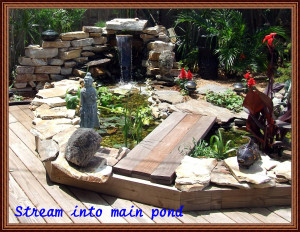 Back Yard Water Ponds and Gardens